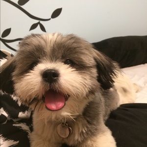 Meet your Posher, Kaitlyn